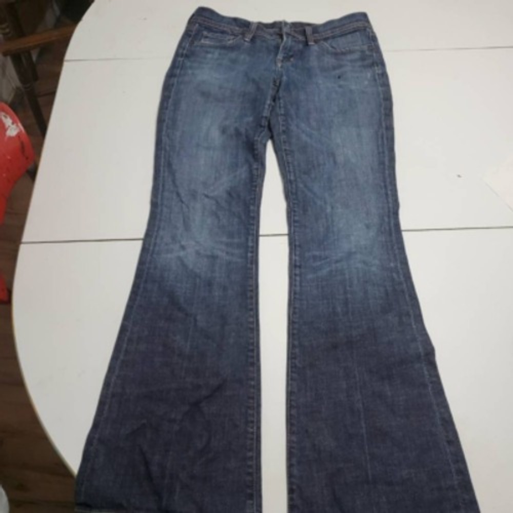 Anthropologie Citizens of Humanity Ingrid Flare Jean Blue 29